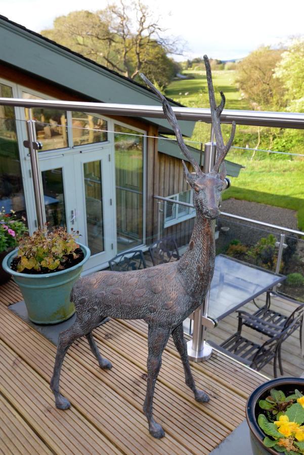 Black Burn Lodge B & B Newcastleton Екстериор снимка